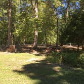Review photo of East Fork State Park Campground by Shelly S., September 14, 2016
