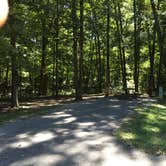 Review photo of East Fork State Park Campground by Shelly S., September 14, 2016