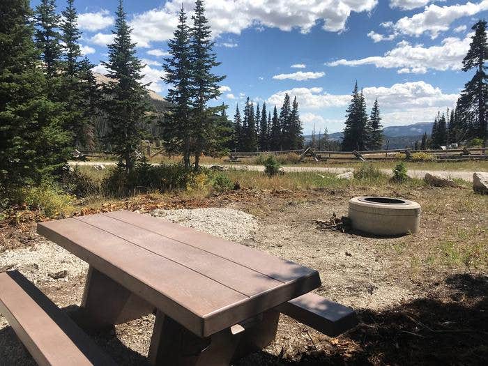 Camper submitted image from Twelve Mile Flat - 3