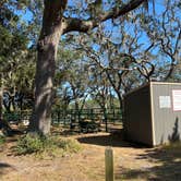 Review photo of Jekyll Island Campground by Stuart K., June 10, 2024