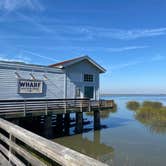 Review photo of Jekyll Island Campground by Stuart K., June 10, 2024