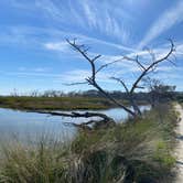 Review photo of Jekyll Island Campground by Stuart K., June 10, 2024