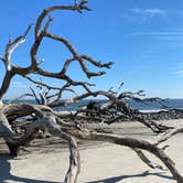 Review photo of Jekyll Island Campground by Stuart K., June 10, 2024