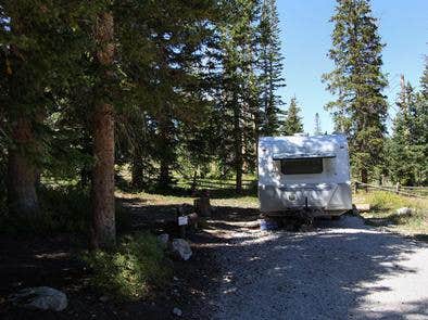 Camper submitted image from Twelve Mile Flat - 4