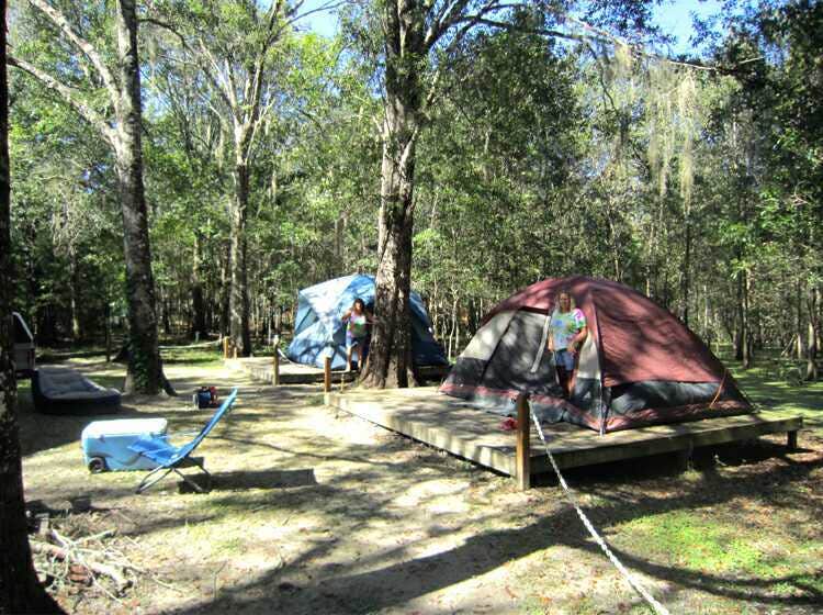 The Dyrt's photo at Riverside Lodge Resort near Inverness, FL