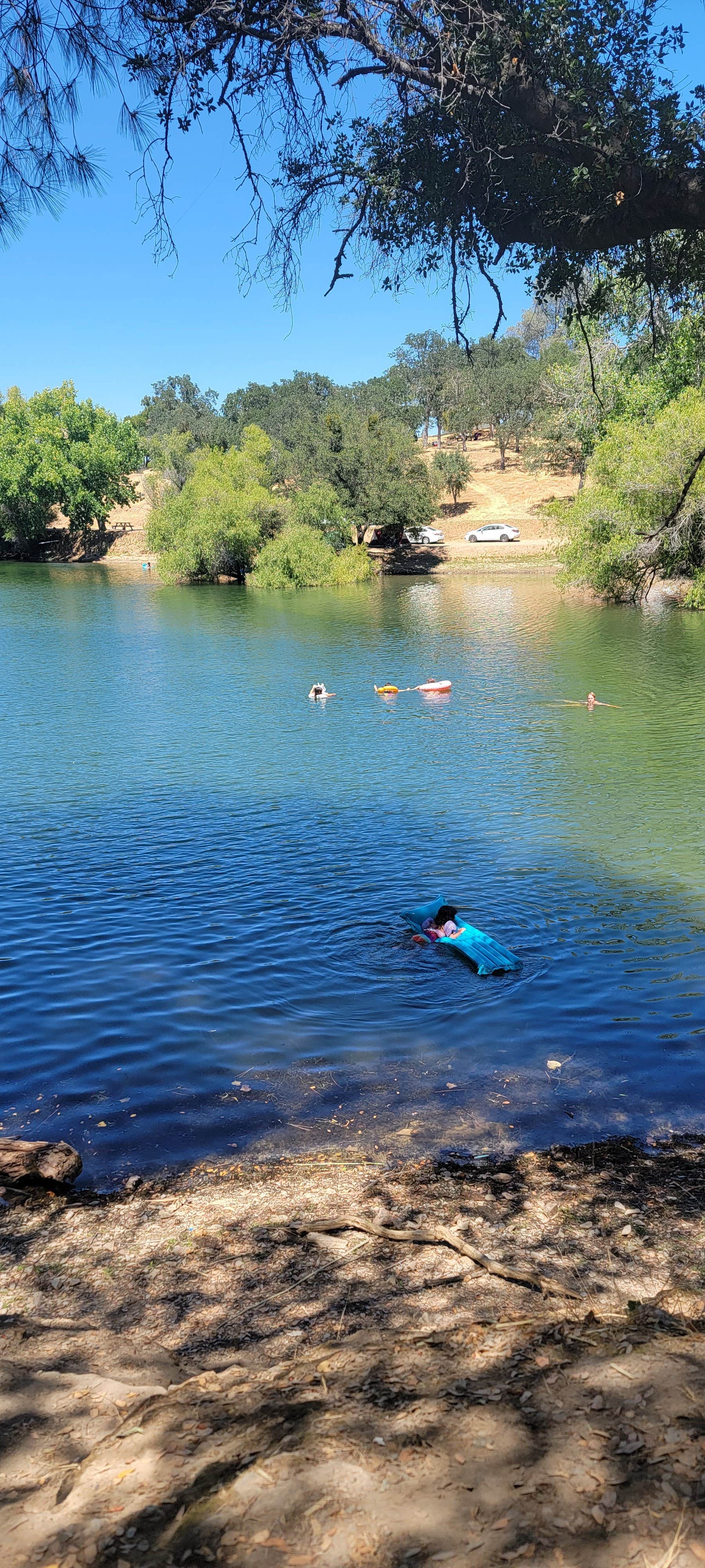 Camper submitted image from Lake Amador Resort - 5