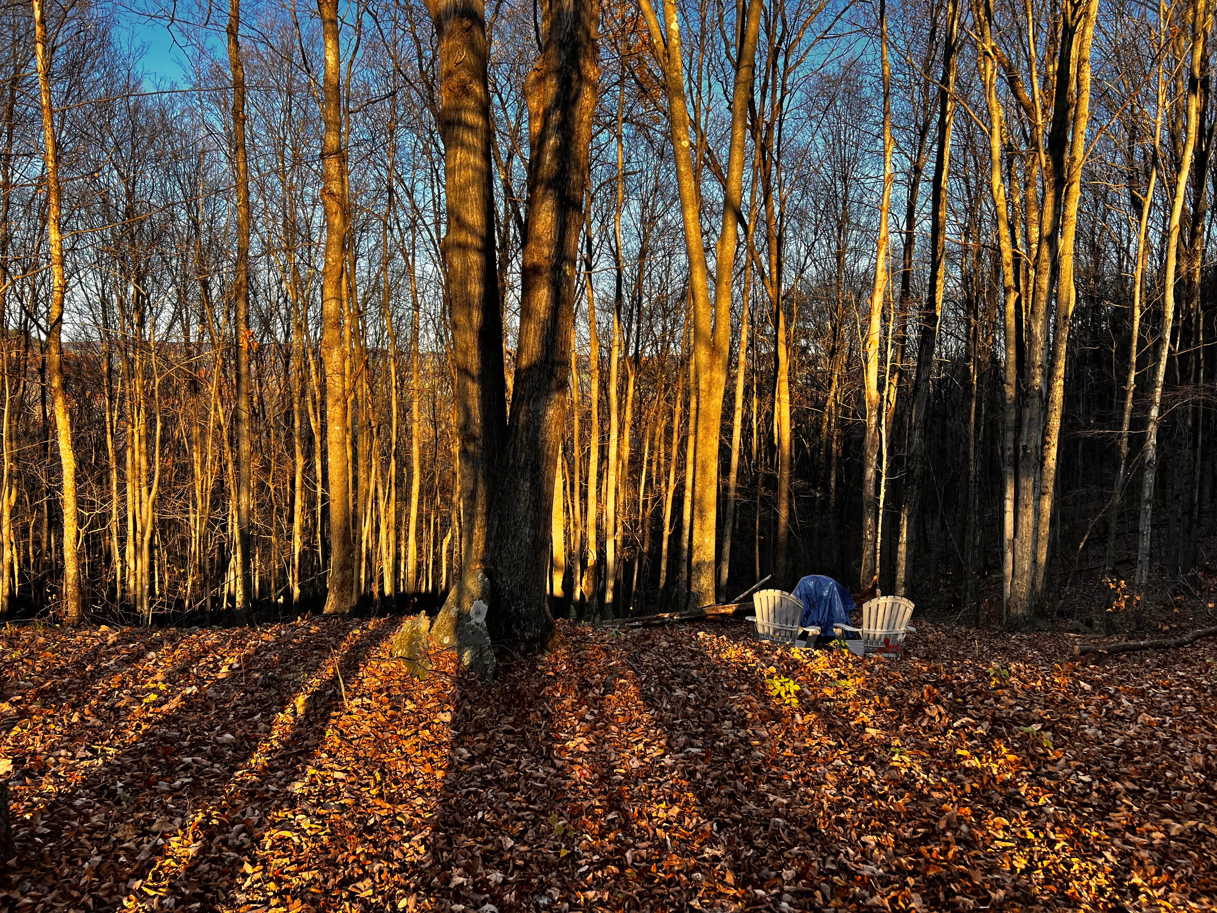 Camper-submitted photo at Wilder Woods near Duanesburg, NY