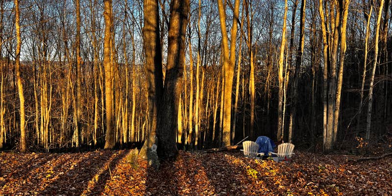 Camper submitted image from Wilder Woods