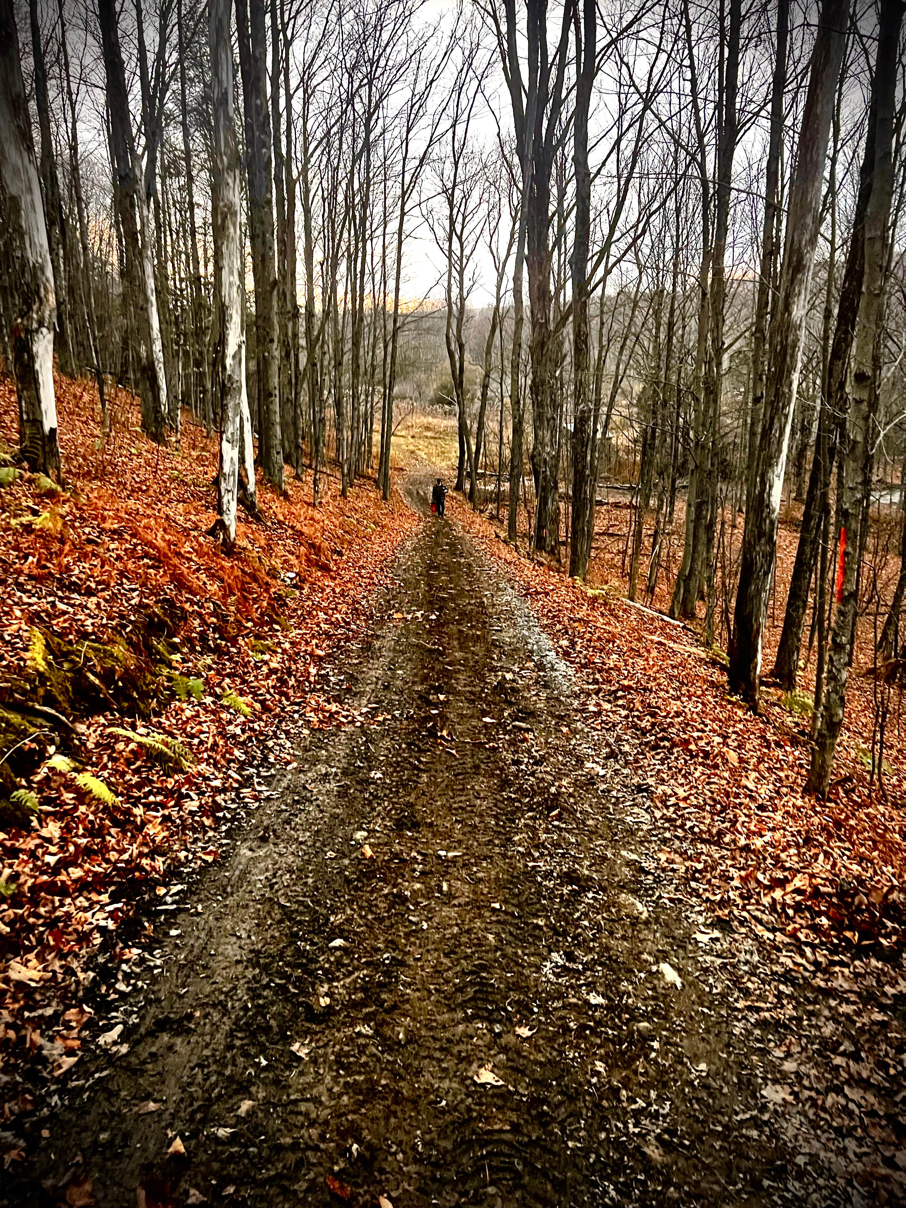 Camper-submitted photo at Wilder Woods near Duanesburg, NY