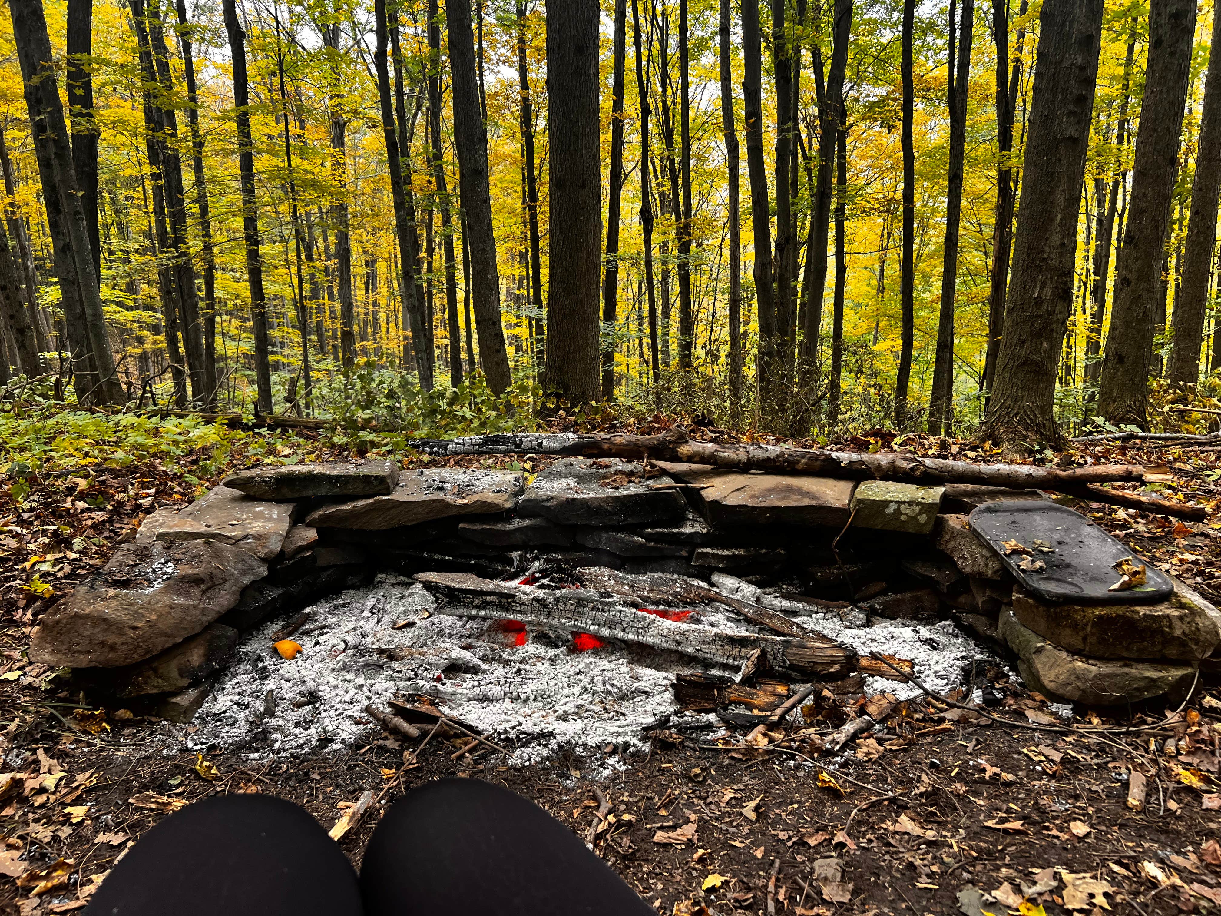 Camper-submitted photo at Wilder Woods near Duanesburg, NY