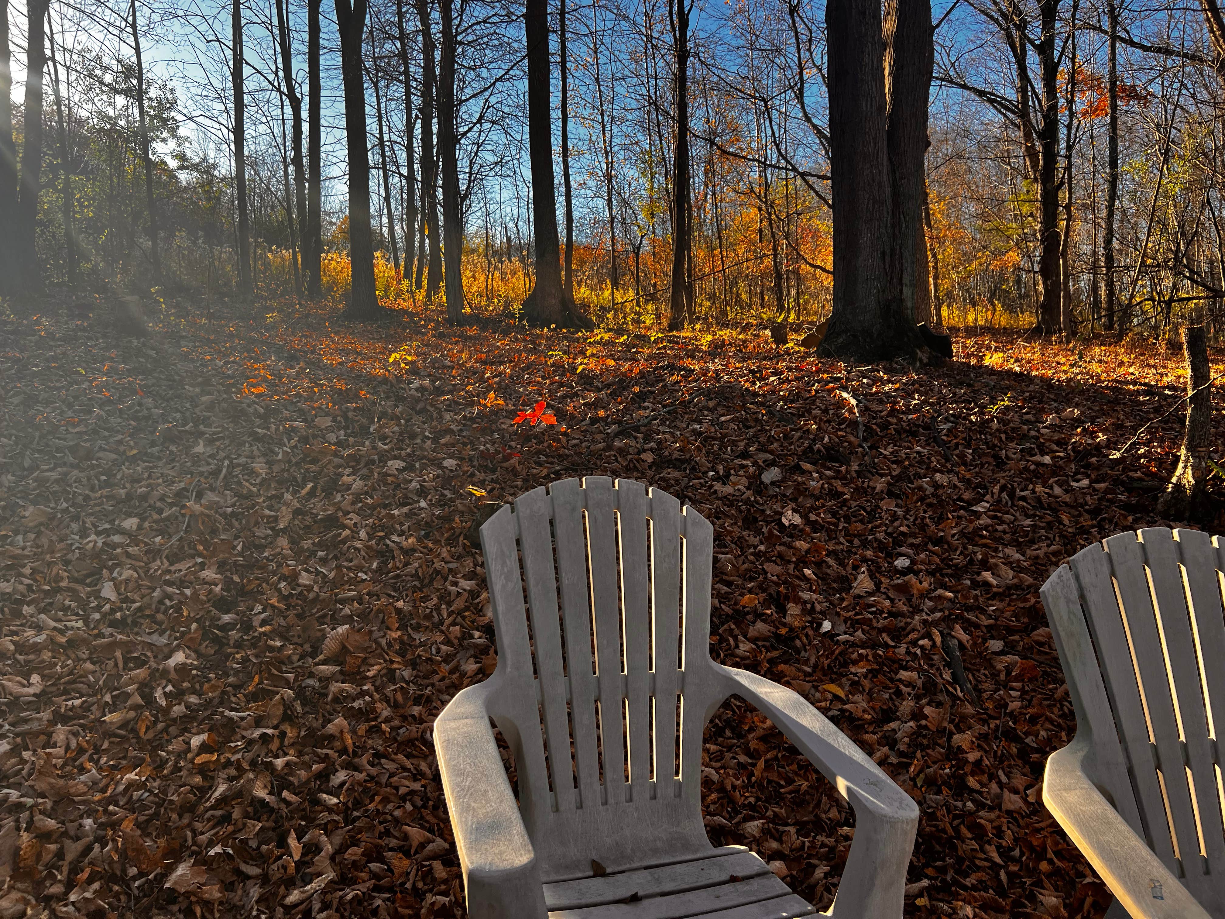 Camper-submitted photo at Wilder Woods near Duanesburg, NY