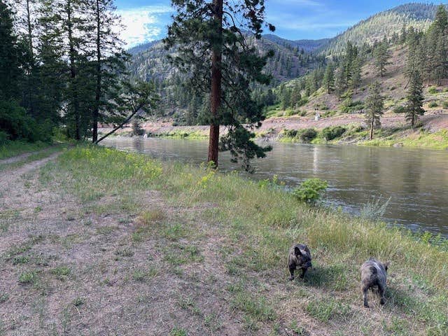 robert K.'s photo of camping with pets at Muchwater Recreation Area near Plains, MT