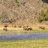 Review photo of Madison Campground — Yellowstone National Park by Rod D., June 12, 2024