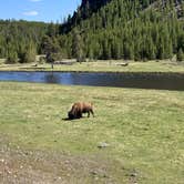 Review photo of Madison Campground — Yellowstone National Park by Rod D., June 12, 2024