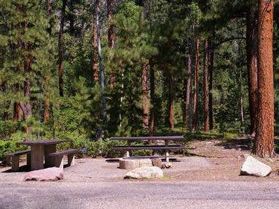 Camper submitted image from Yellow Pine Campground (Ut) — Uinta Wasatch Cache National Forest - 4