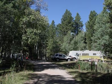 Camper submitted image from Yellowstone Group Campground - 5
