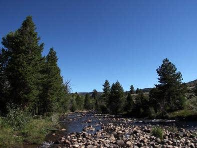 Camper submitted image from Yellowstone Group Campground - 4