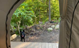 John E.'s photo of camping with pets at Tail-Tuckaway in New Hampshire