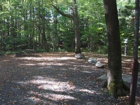Camper submitted image from Hapgood Pond - 4