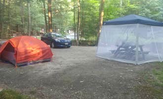 Camping near Aisling Mountain Farm : Clarksburg State Park Campground, Clarksburg, Massachusetts