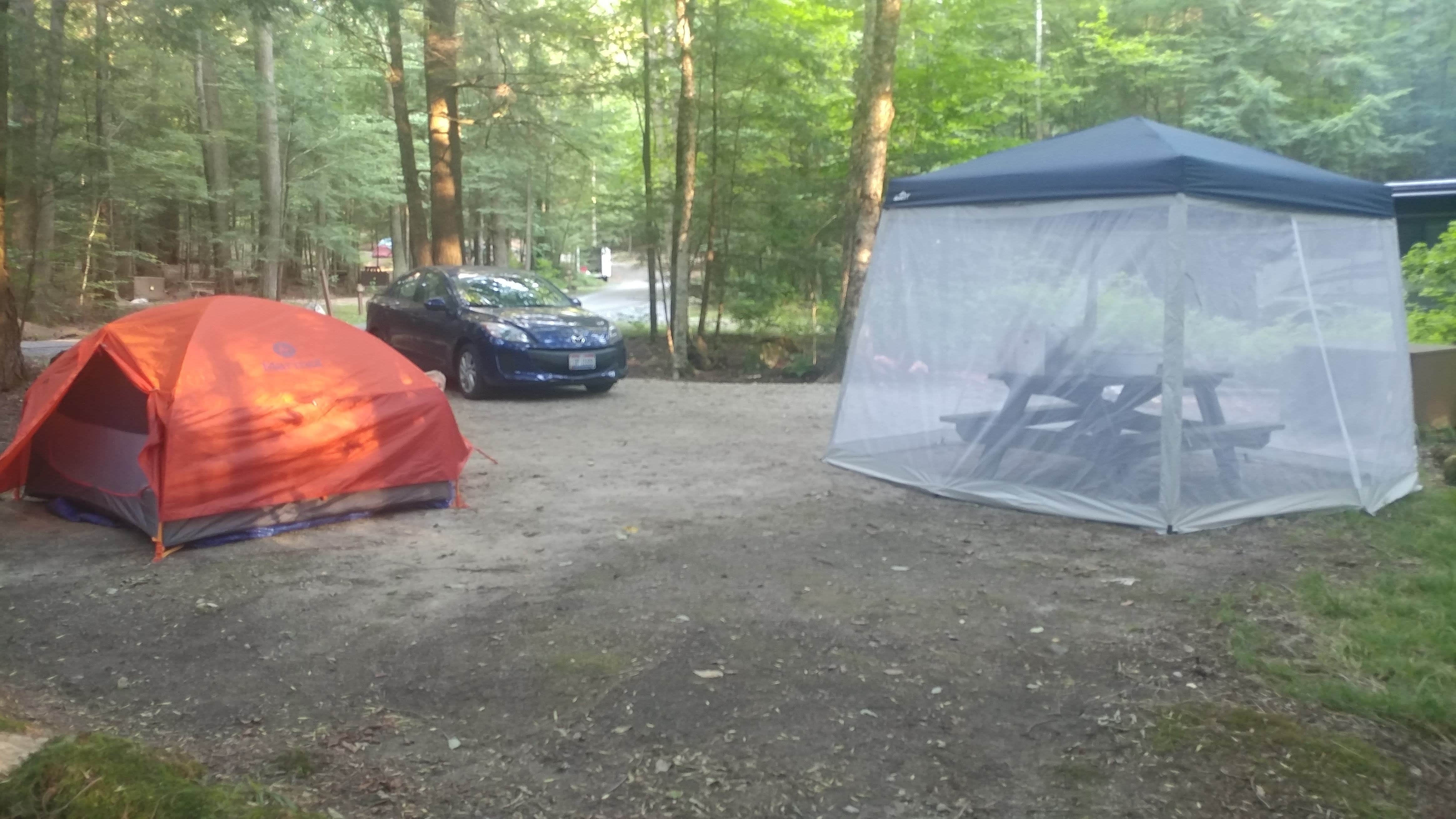 Camper submitted image from Clarksburg State Park Campground - 1