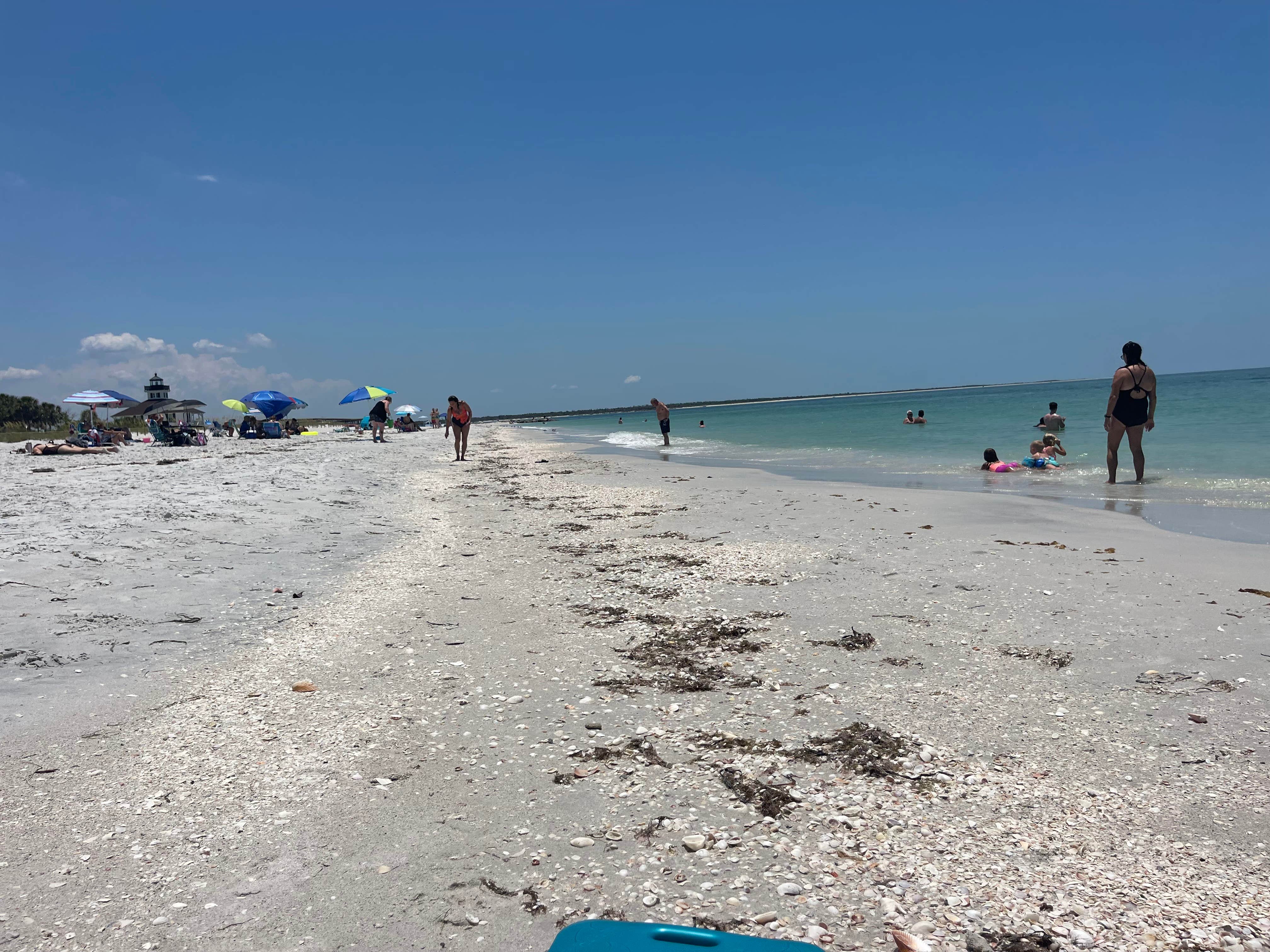 Camper-submitted photo at Myakka River Motorcoach Resort near Placida, FL