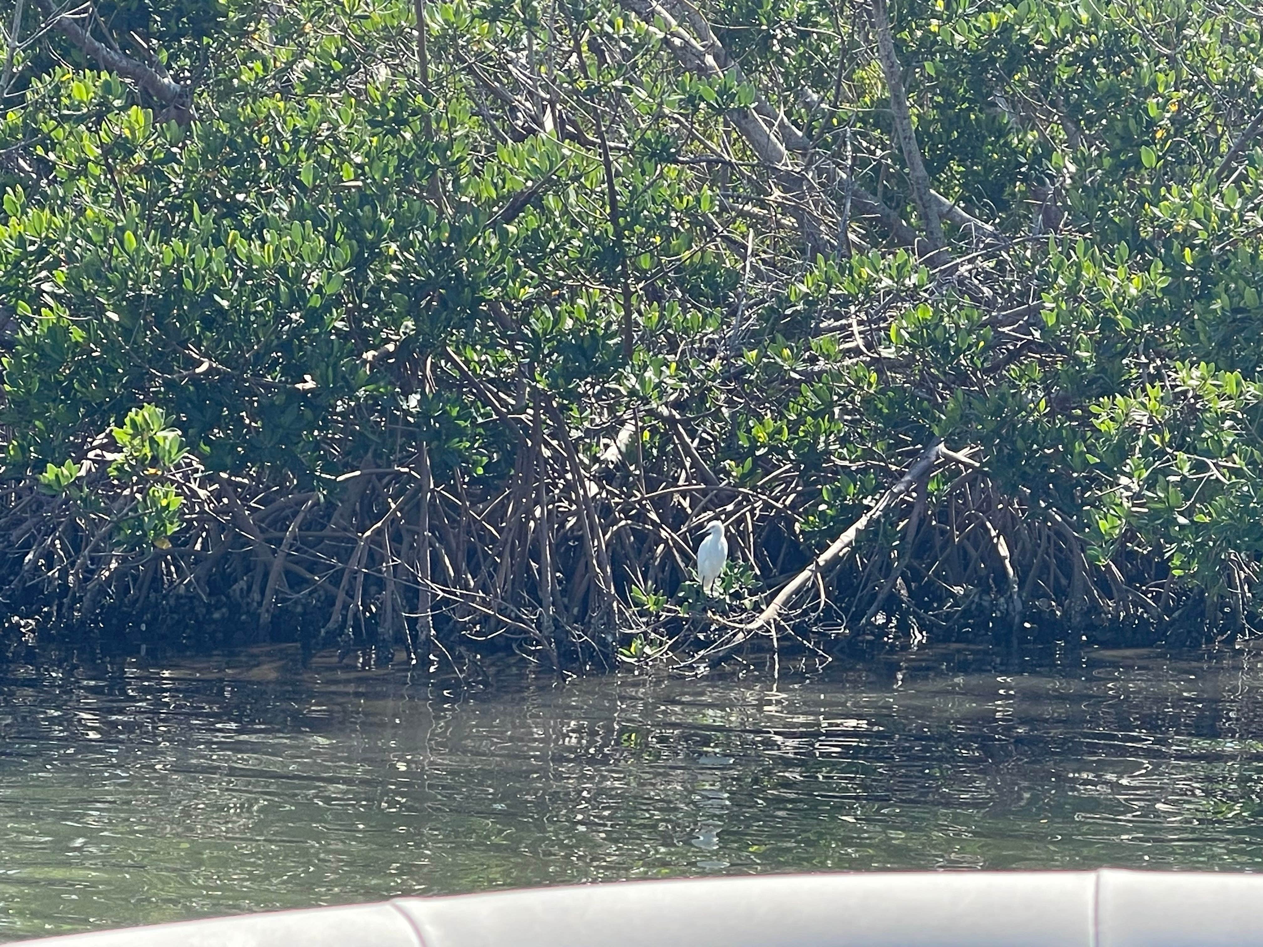 Camper-submitted photo at Myakka River Motorcoach Resort near Placida, FL