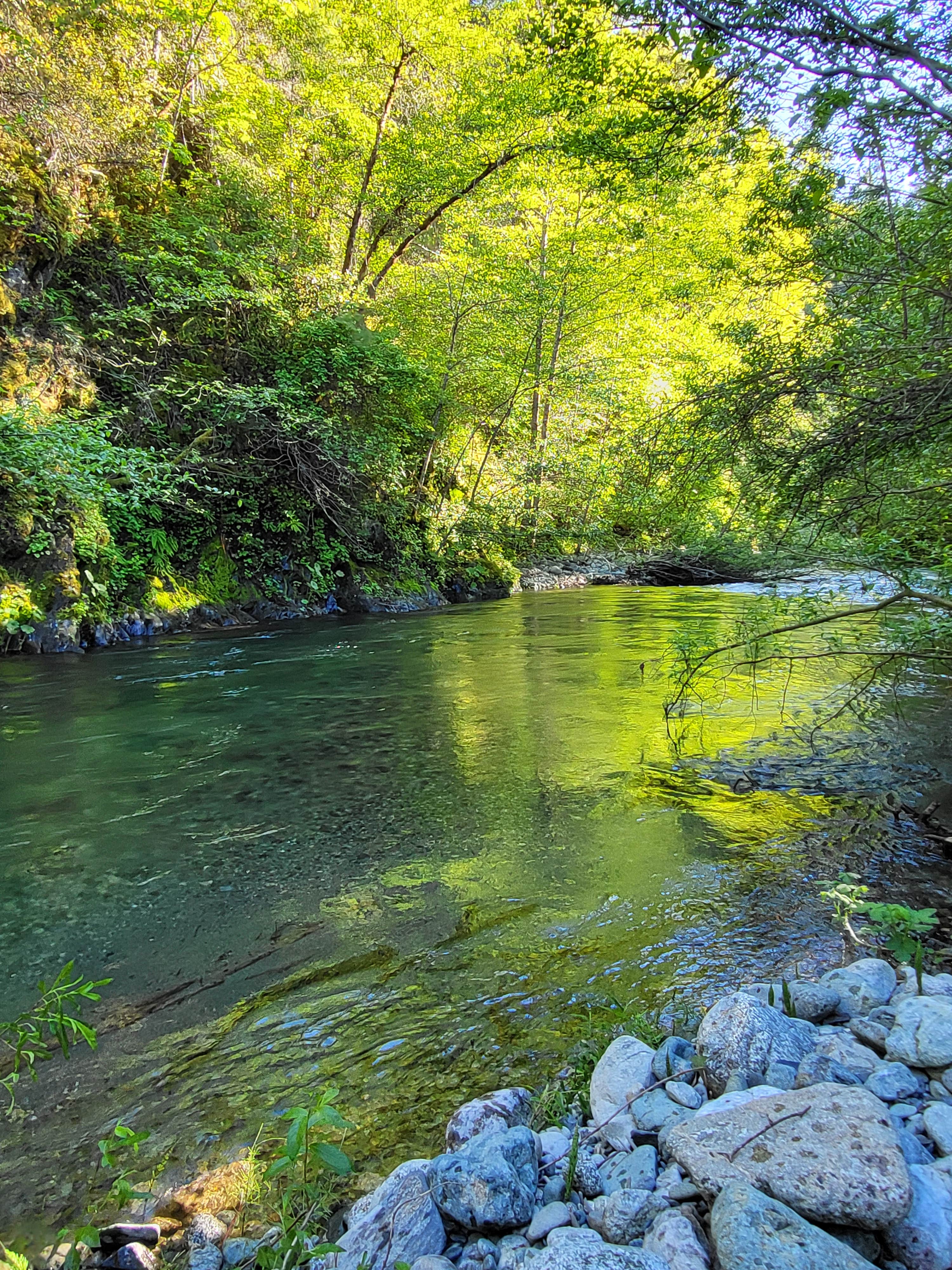 Camping near Oak Bottom Marina RV & Campground — Whiskeytown-Shasta-Trinity National Recreation Area: The Swimming Hole on Red Cap Creek, Orleans, California