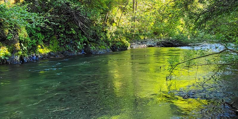 Camper submitted image from The Swimming Hole on Red Cap Creek