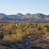 Review photo of Lost Dutchman State Park Campground by Jim A., June 13, 2024