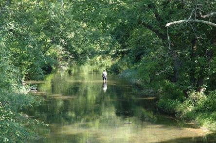 Camper submitted image from Elizabeth Furnace Campground - 1