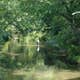 Elizabeth Furnace Campground