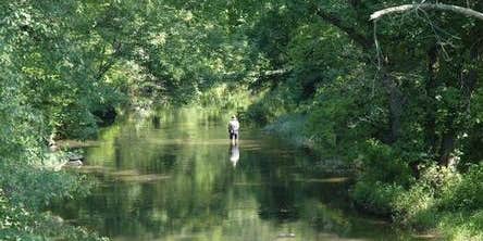 Camper submitted image from Elizabeth Furnace Campground