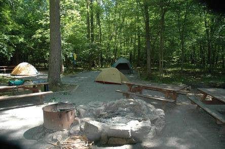 Camper submitted image from Elizabeth Furnace Campground - 5