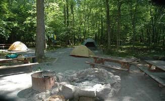 The Dyrt's photo at Elizabeth Furnace Campground near Winchester, VA