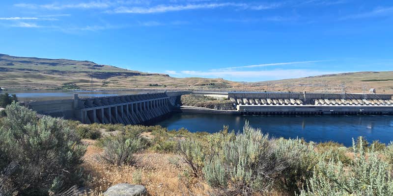 Camper submitted image from Bridgeport State Park Campground