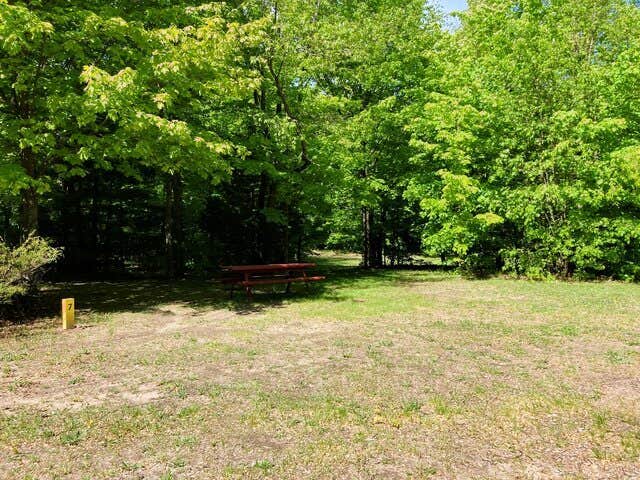 Camper-submitted photo at Kampvilla Park, LLC near Frankfort, MI