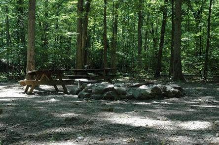 Camper-submitted photo at Elizabeth Furnace Campground near Flint Hill, VA