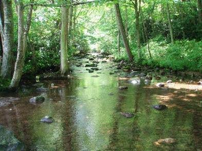 Camper submitted image from Fox Creek Horse Camp - 5