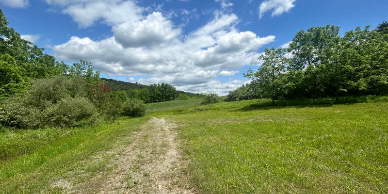 Camper submitted image from Wilson Hollow Boondock