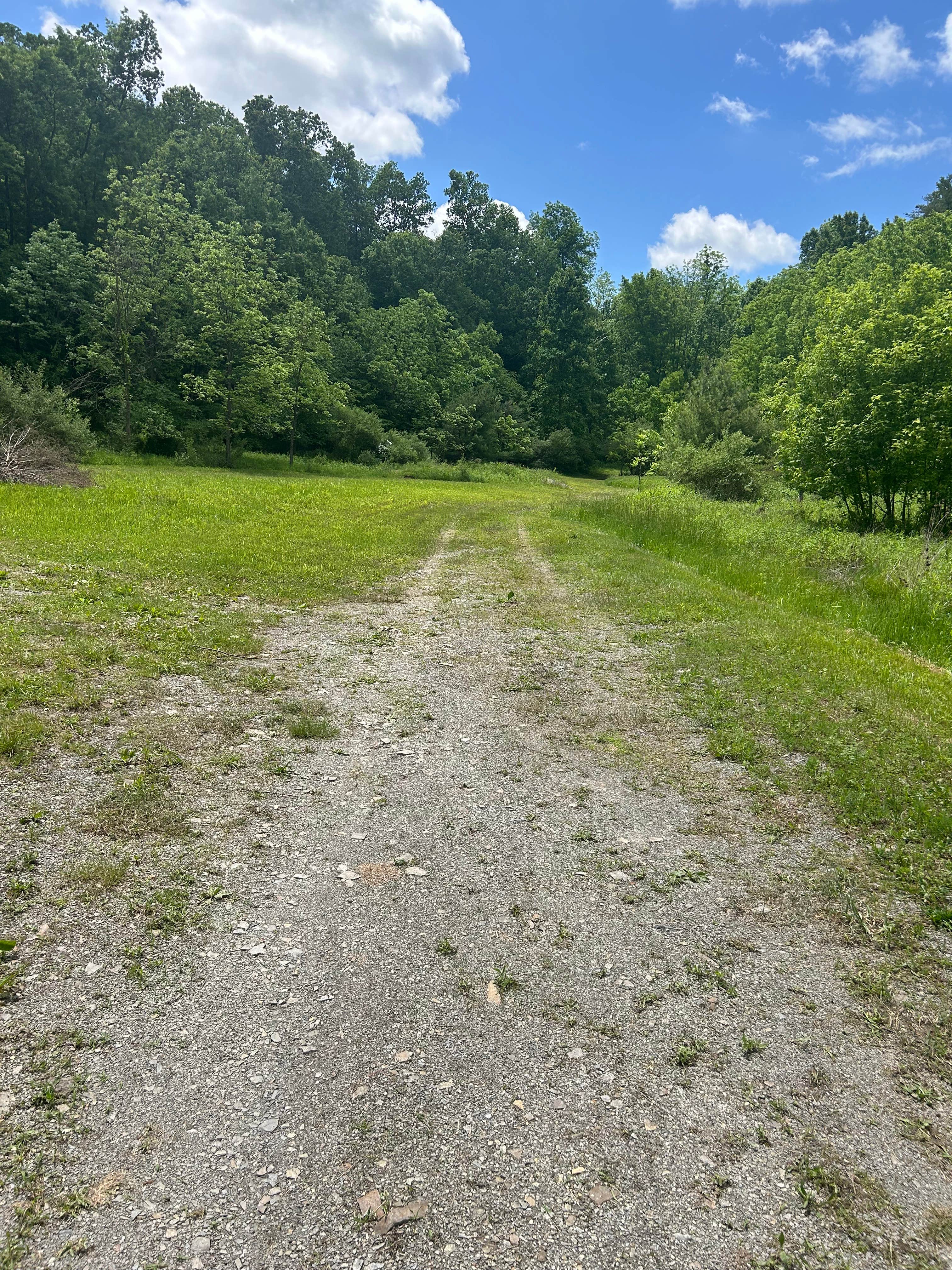 Camper-submitted photo at Wilson Hollow Boondock near Lemont, PA