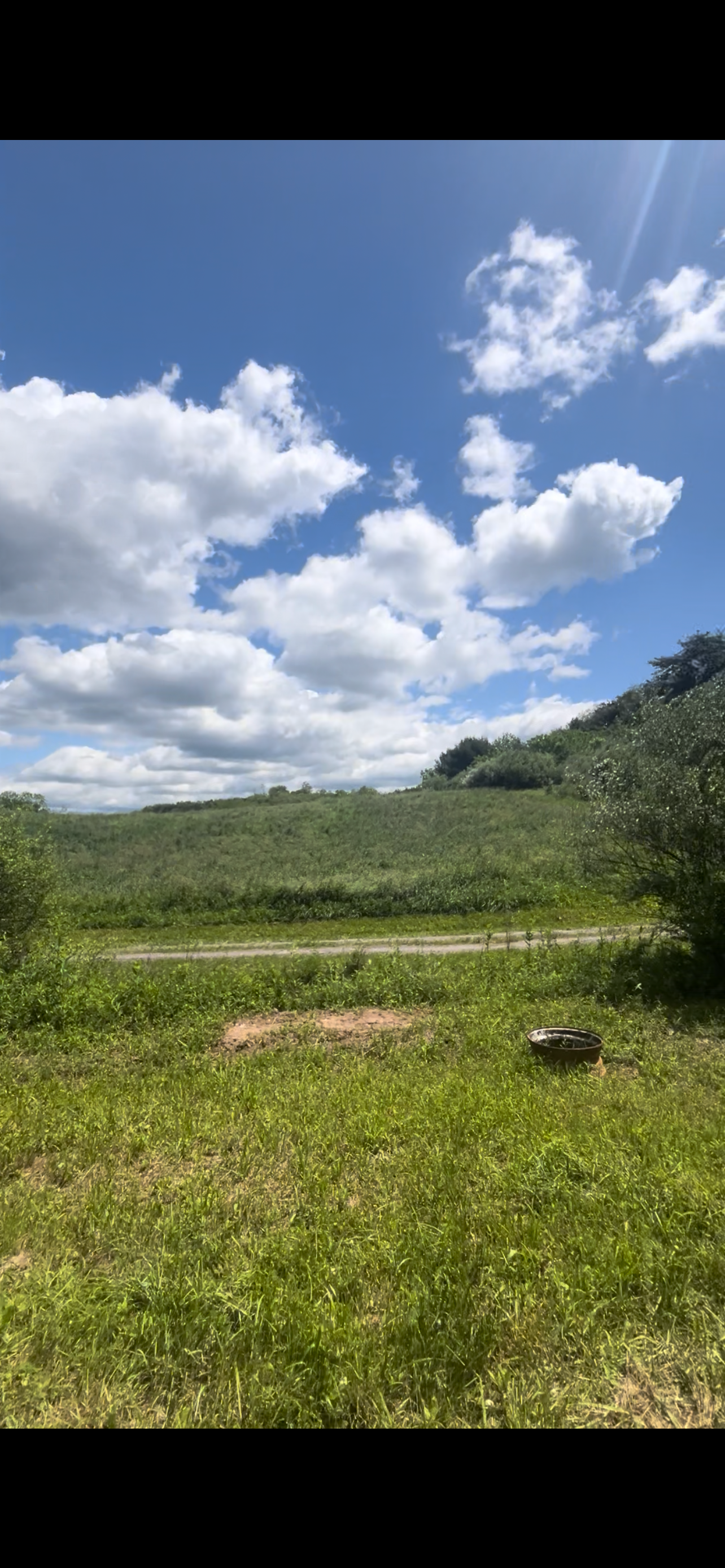 Camper-submitted photo at Wilson Hollow Boondock near Lemont, PA