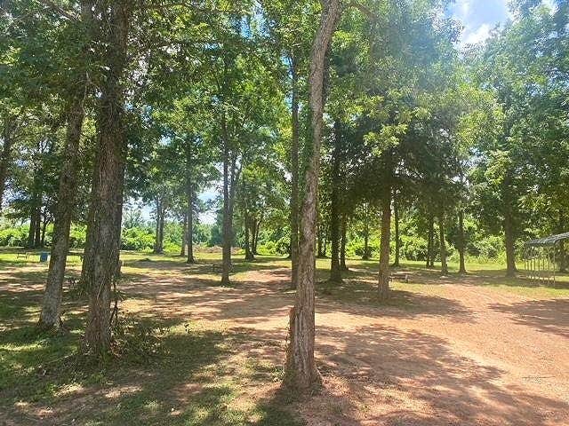 Camper-submitted photo at River Island RV Park near Lecompte, LA