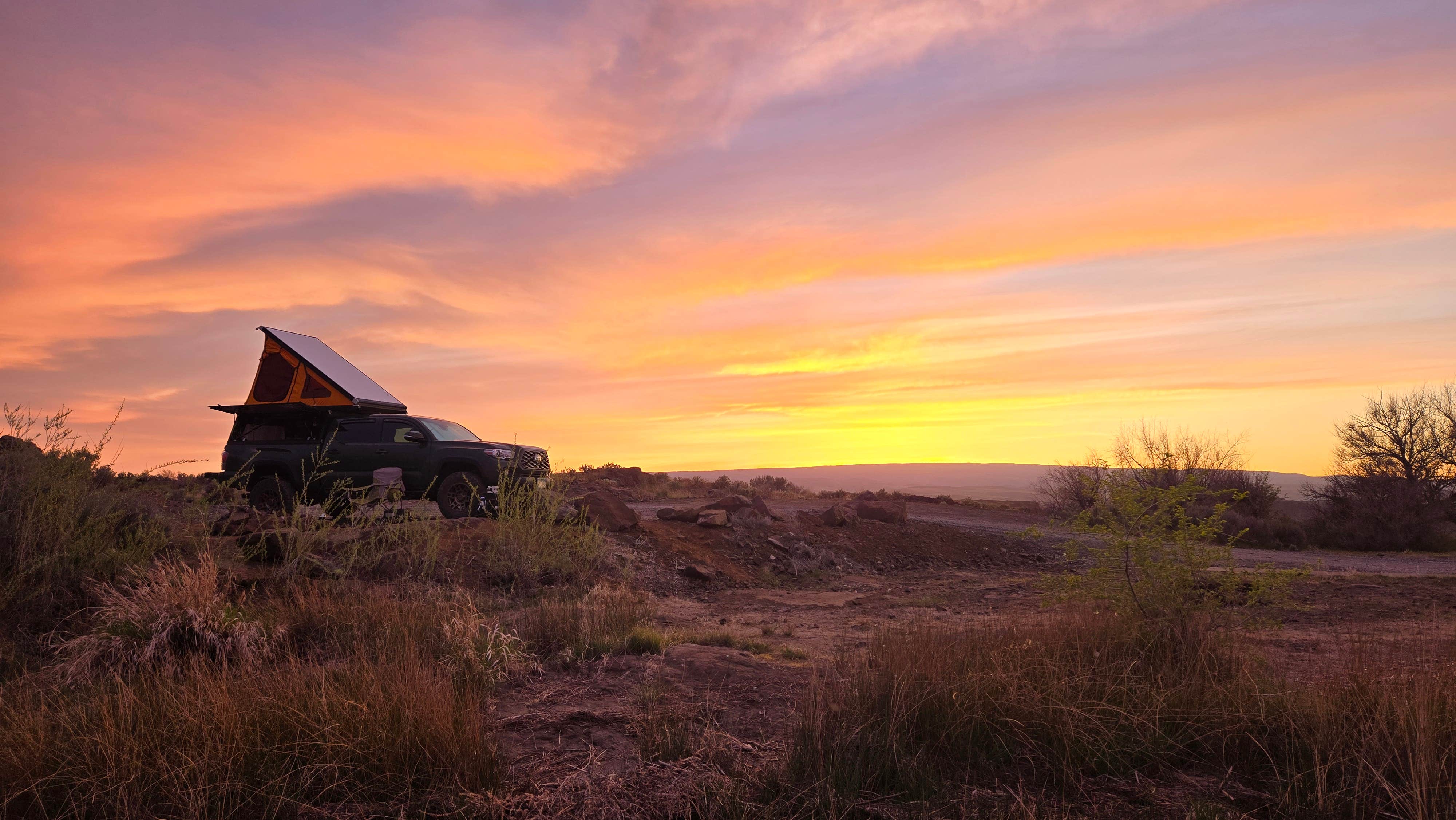 Camper submitted image from Burke Lake South - 3