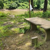 Review photo of Wards Crossing Dispersed, Nimrod Lake Rec Area, AR by Fred S., June 14, 2024