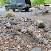 Review photo of Sun Lakes-Dry Falls State Park by Jason G., June 14, 2024
