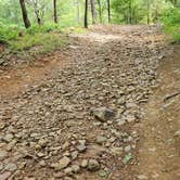 Review photo of Creekside Dispersed, Hogan Creek, Nimrod Lake Rec Area, AR by Fred S., June 14, 2024