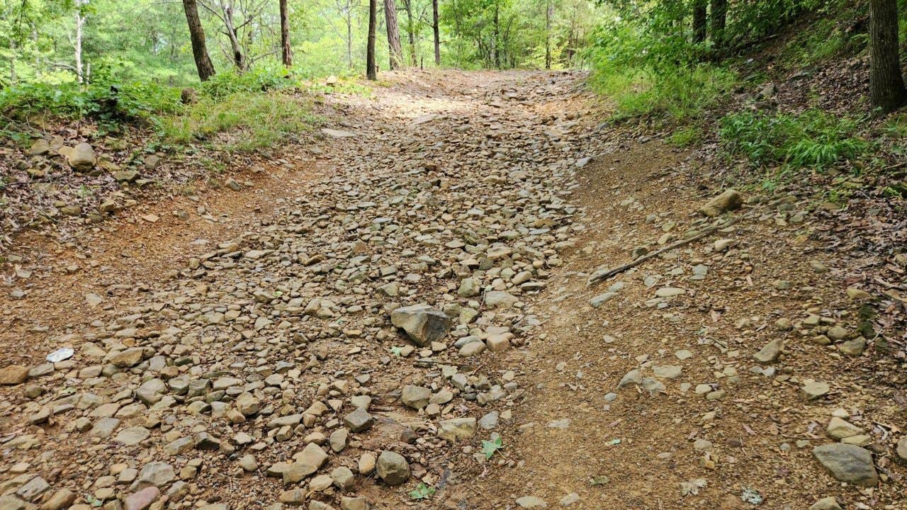 Camper submitted image from Creekside Dispersed, Hogan Creek, Nimrod Lake Rec Area, AR - 4