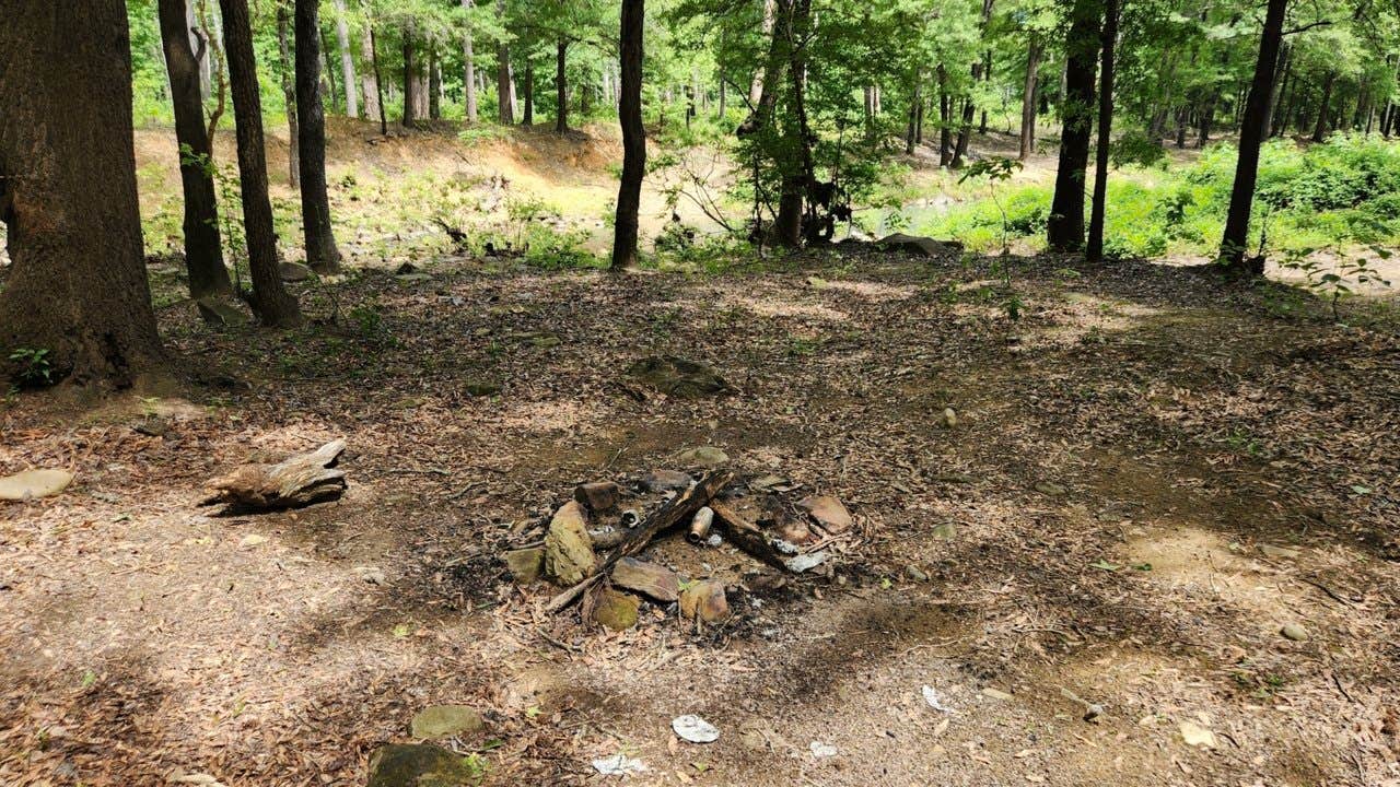 Camper-submitted photo at Creekside Dispersed, Hogan Creek, Nimrod Lake Rec Area, AR near Havana, AR