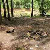 Review photo of Creekside Dispersed, Hogan Creek, Nimrod Lake Rec Area, AR by Fred S., June 14, 2024